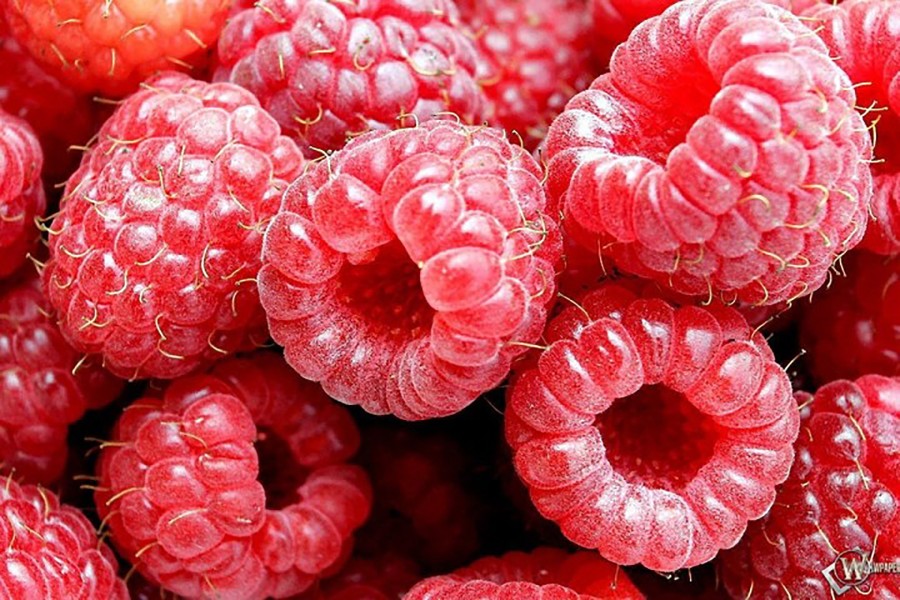 Raspberry cake with frambuesa - the raspberry